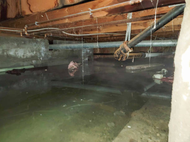 Best 24-hour water damage restoration  in Glen Alpine, NC