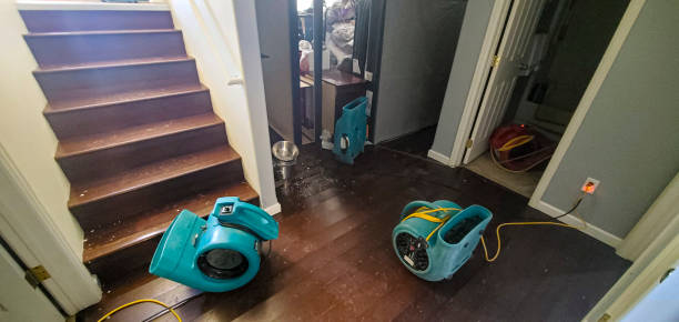 Best Water damage mitigation services  in Glen Alpine, NC