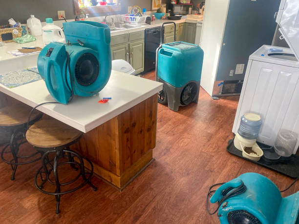 Best Mold removal after water damage  in Glen Alpine, NC
