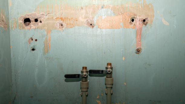Best Water damage restoration mold remediation  in Glen Alpine, NC