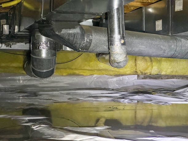 Best Basement water damage restoration  in Glen Alpine, NC