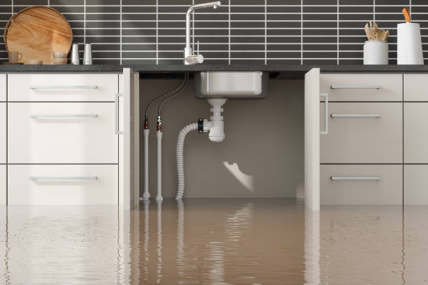 Best Basement water damage restoration  in Glen Alpine, NC