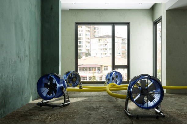 Best Ceiling water damage repair  in Glen Alpine, NC